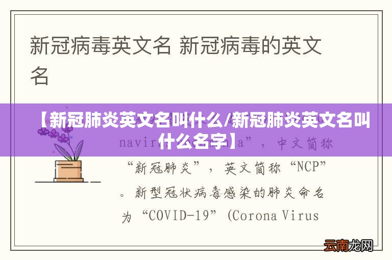 【新冠肺炎英文名叫什么/新冠肺炎英文名叫什么名字】