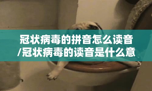 冠状病毒的拼音怎么读音/冠状病毒的读音是什么意思