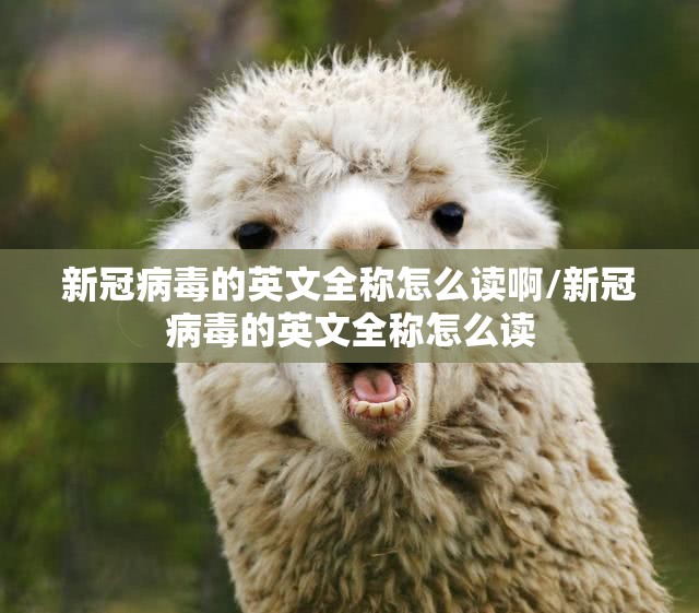 新冠病毒的英文全称怎么读啊/新冠病毒的英文全称怎么读