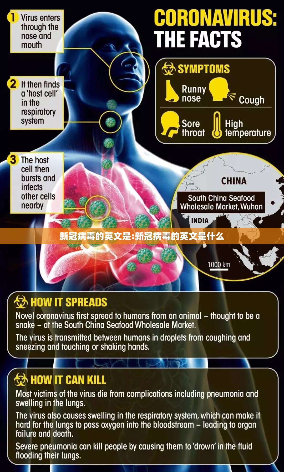 新冠病毒的英文是:新冠病毒的英文是什么