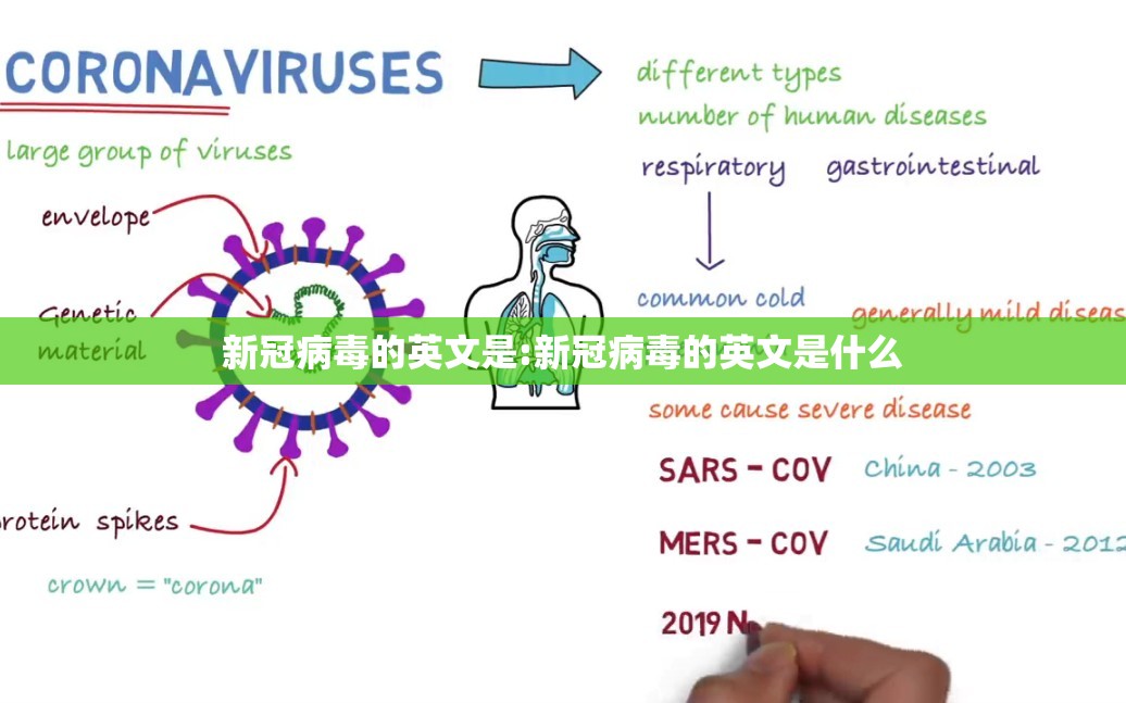 新冠病毒的英文是:新冠病毒的英文是什么