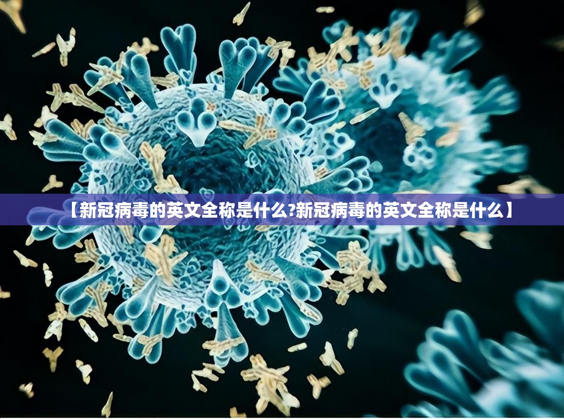 【新冠病毒的英文全称是什么?新冠病毒的英文全称是什么】