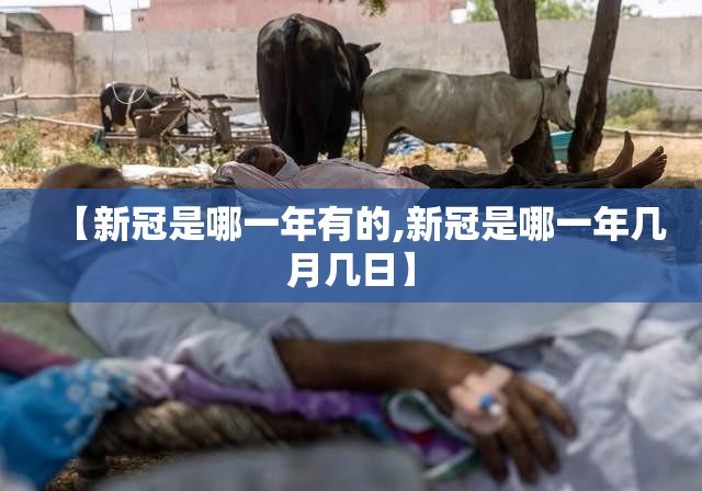 【疫情带走了多少老年人,疫情带走了多少医护人员】