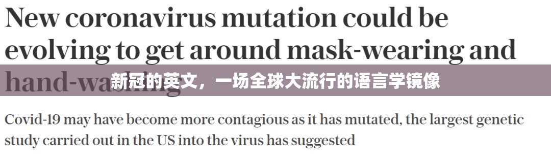 新冠的英文，一场全球大流行的语言学镜像