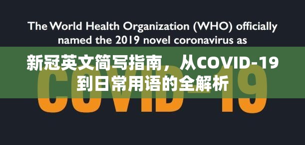 新冠英文简写指南，从COVID-19到日常用语的全解析