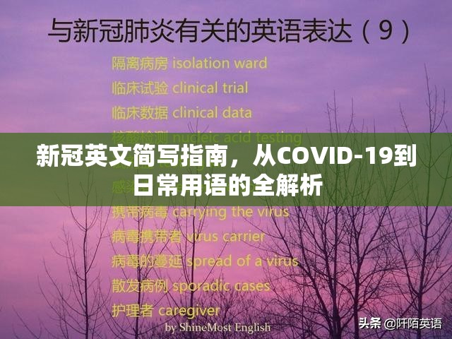 新冠英文简写指南，从COVID-19到日常用语的全解析