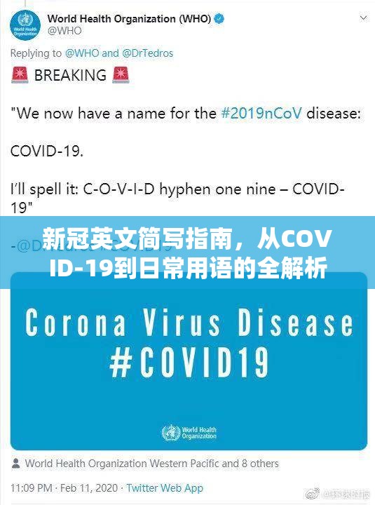 新冠英文简写指南，从COVID-19到日常用语的全解析