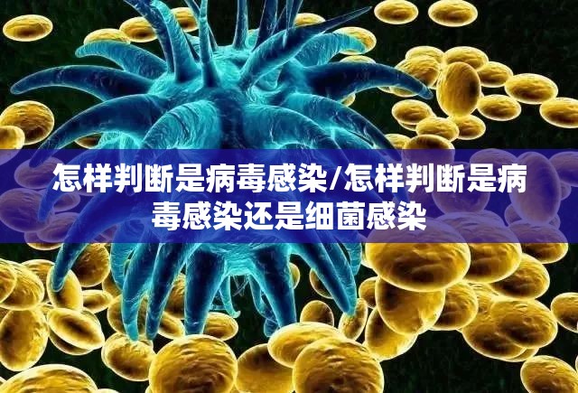 怎样判断是病毒感染/怎样判断是病毒感染还是细菌感染