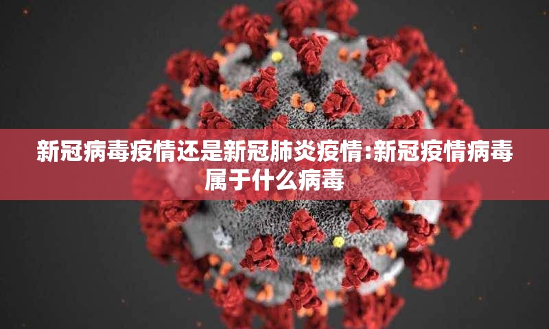 新冠病毒疫情还是新冠肺炎疫情:新冠疫情病毒属于什么病毒