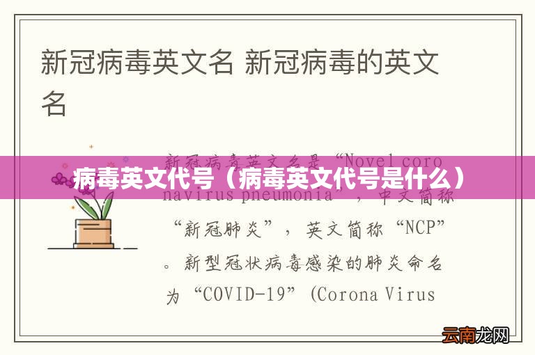 病毒英文代号（病毒英文代号是什么）