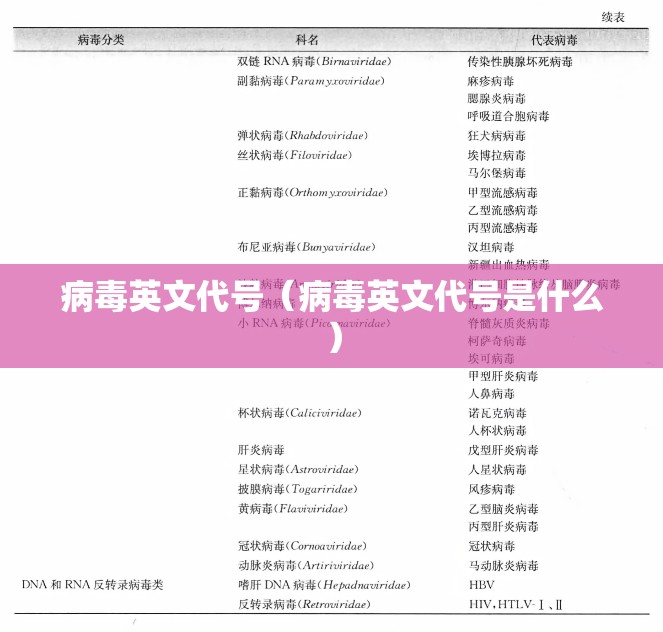 病毒英文代号（病毒英文代号是什么）
