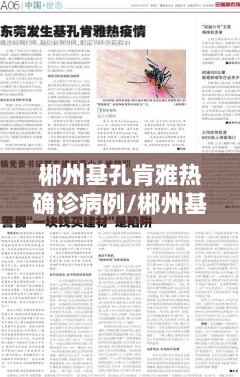 郴州基孔肯雅热确诊病例/郴州基建