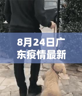 8月24日广东疫情最新消息今天封城了/8月24日广东疫情最新消息今天
