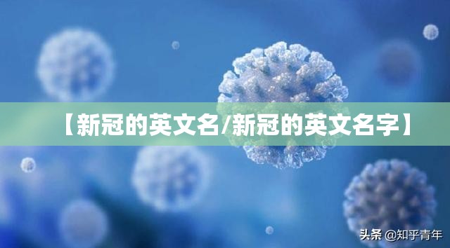 【新冠的英文名/新冠的英文名字】