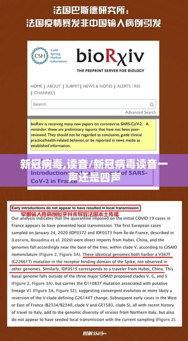 新冠病毒,读音/新冠病毒读音一声还是四声