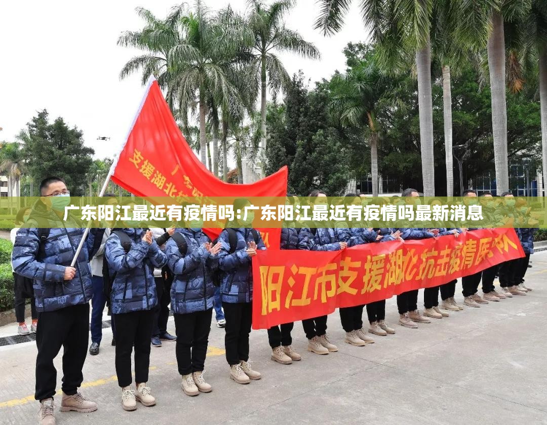 广东阳江最近有疫情吗:广东阳江最近有疫情吗最新消息