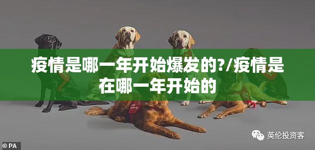 疫情是哪一年开始爆发的?/疫情是在哪一年开始的