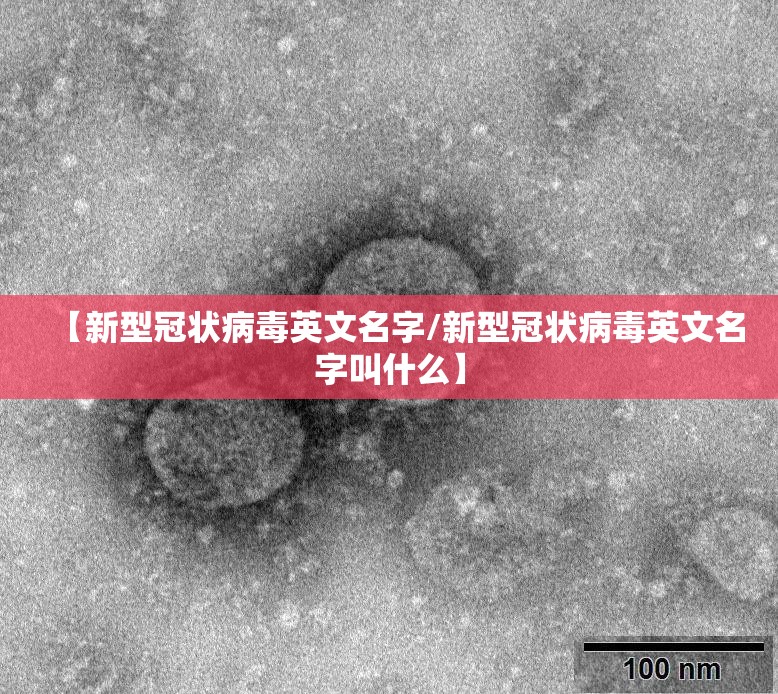 【新型冠状病毒英文名字/新型冠状病毒英文名字叫什么】