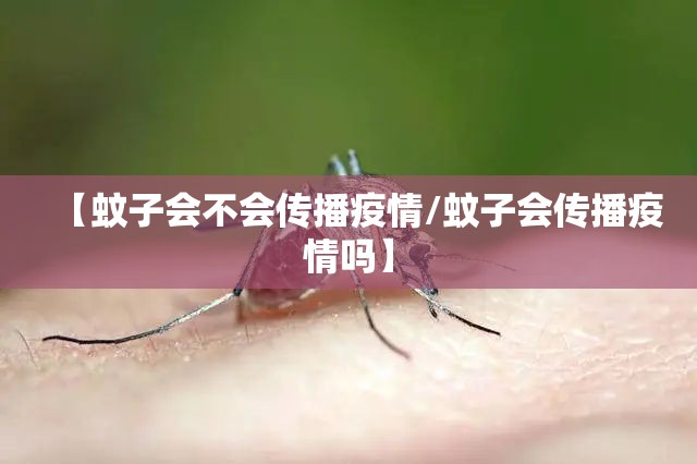 【蚊子会不会传播疫情/蚊子会传播疫情吗】