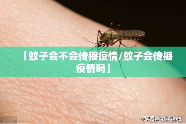 【蚊子会不会传播疫情/蚊子会传播疫情吗】