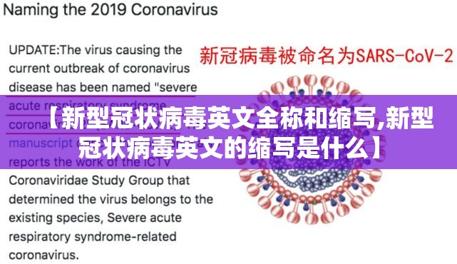 【新型冠状病毒英文全称和缩写,新型冠状病毒英文的缩写是什么】