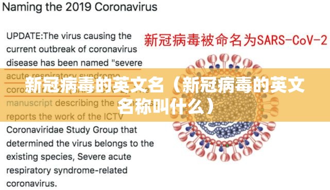 新冠病毒的英文名（新冠病毒的英文名称叫什么）
