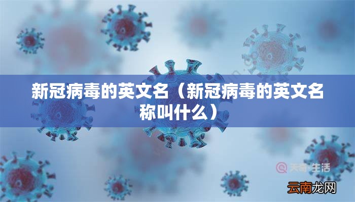新冠病毒的英文名（新冠病毒的英文名称叫什么）