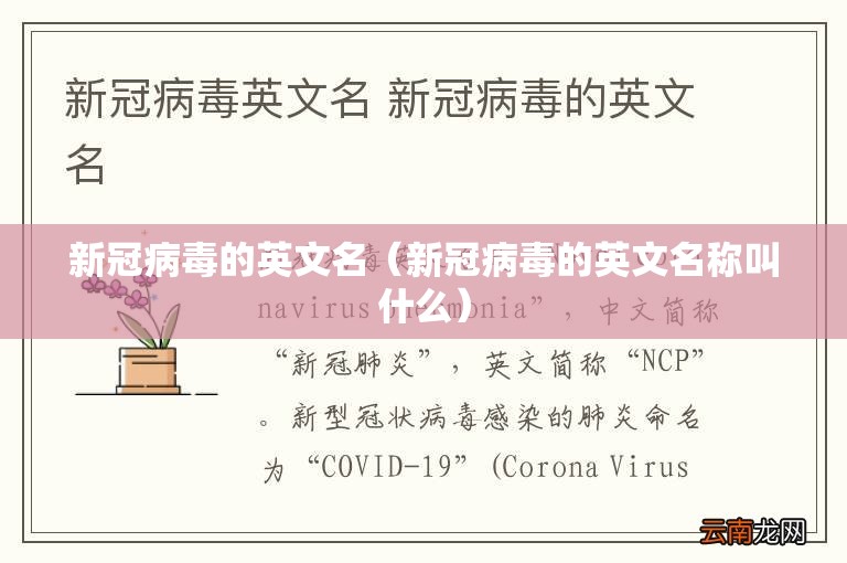 新冠病毒的英文名（新冠病毒的英文名称叫什么）