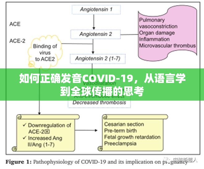 如何正确发音COVID-19，从语言学到全球传播的思考