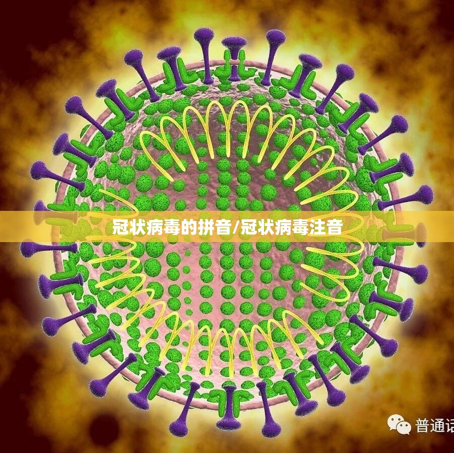 冠状病毒的拼音/冠状病毒注音