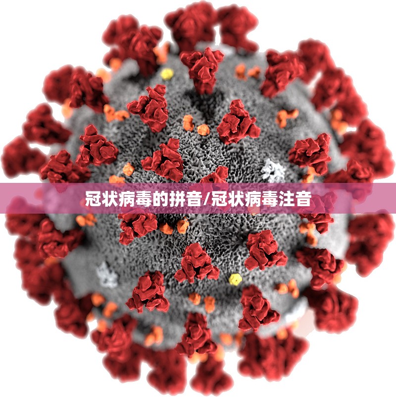 冠状病毒的拼音/冠状病毒注音