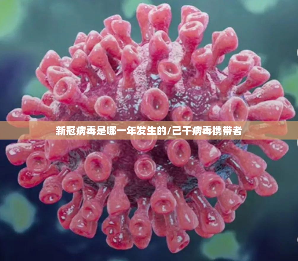 新冠病毒是哪一年发生的/己干病毒携带者