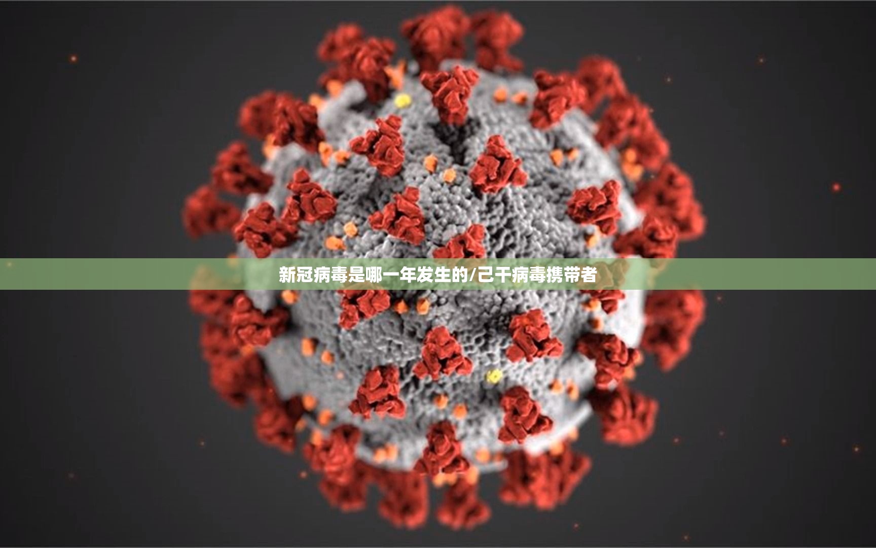 新冠病毒是哪一年发生的/己干病毒携带者