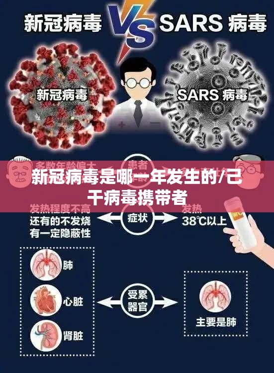 新冠病毒是哪一年发生的/己干病毒携带者