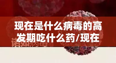 现在是什么病毒的高发期吃什么药/现在都是什么病毒