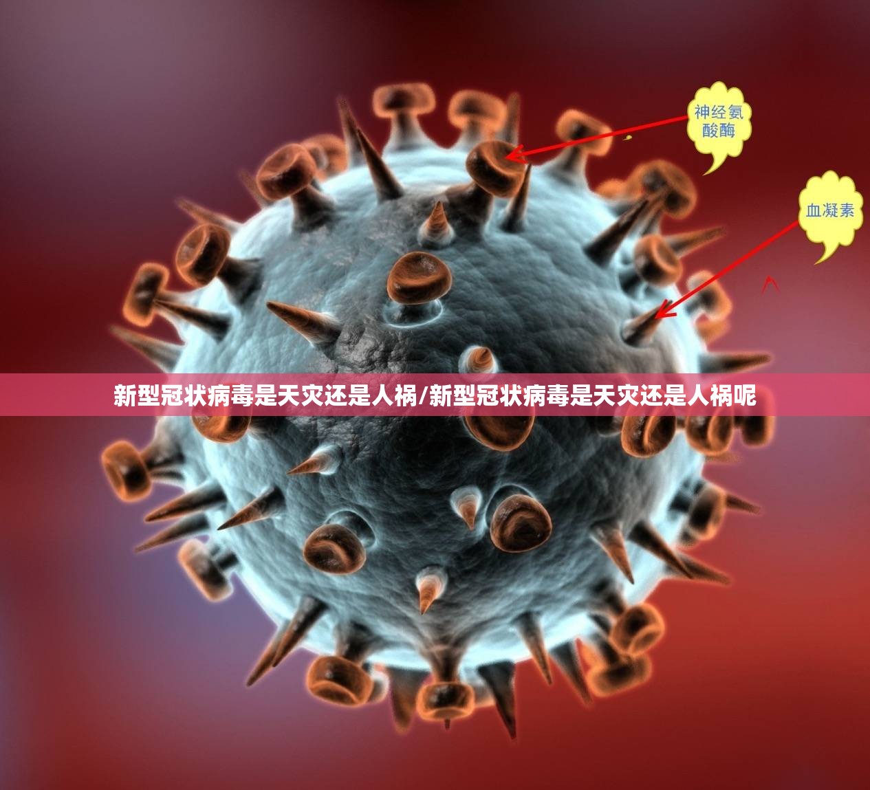新型冠状病毒是天灾还是人祸/新型冠状病毒是天灾还是人祸呢