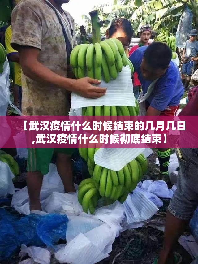 【武汉疫情什么时候结束的几月几日,武汉疫情什么时候彻底结束】