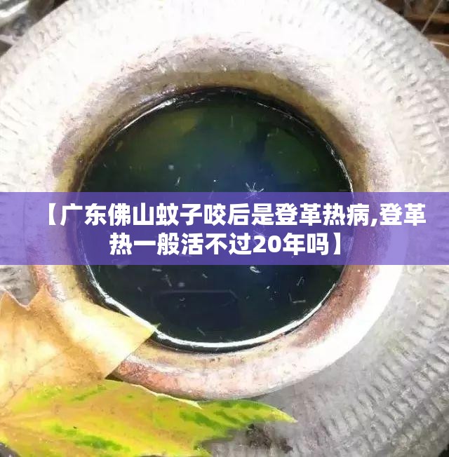 【广东佛山蚊子咬后是登革热病,登革热一般活不过20年吗】