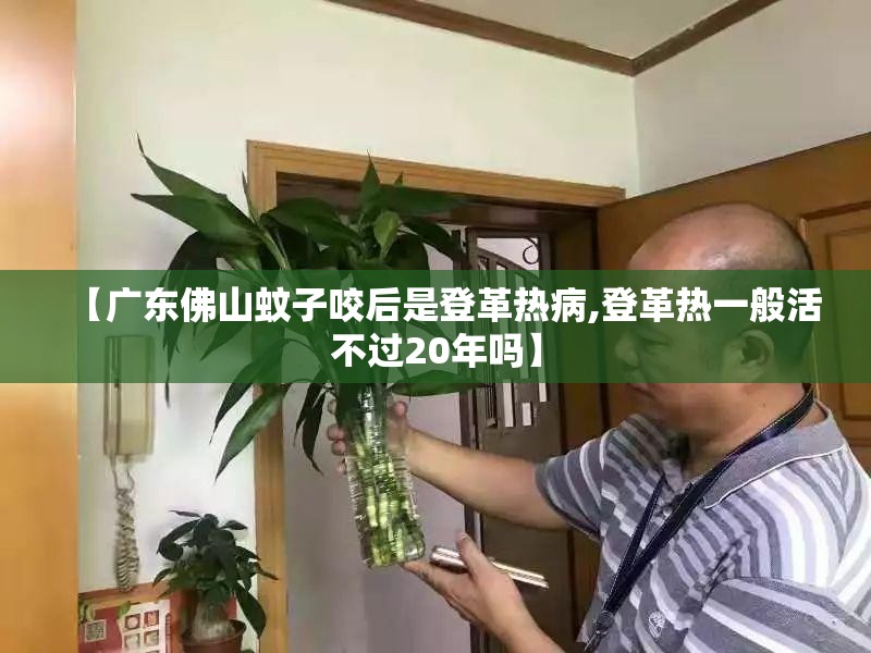 【广东佛山蚊子咬后是登革热病,登革热一般活不过20年吗】