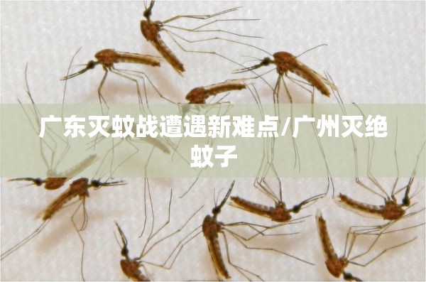 广东灭蚊战遭遇新难点/广州灭绝蚊子