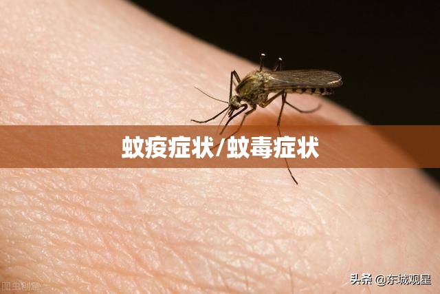蚊疫症状/蚊毒症状