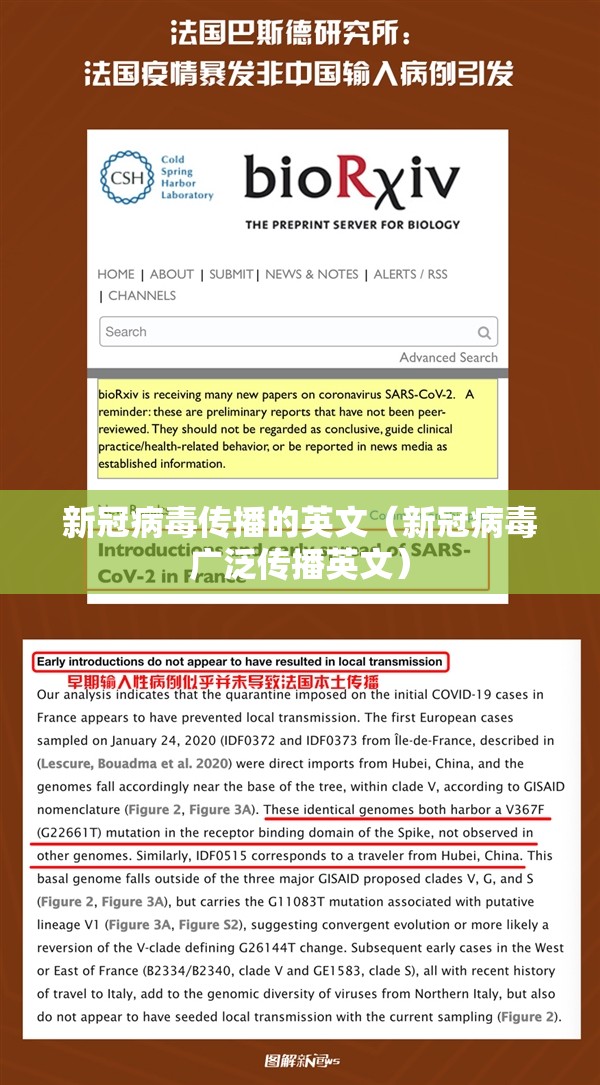新冠病毒传播的英文（新冠病毒广泛传播英文）