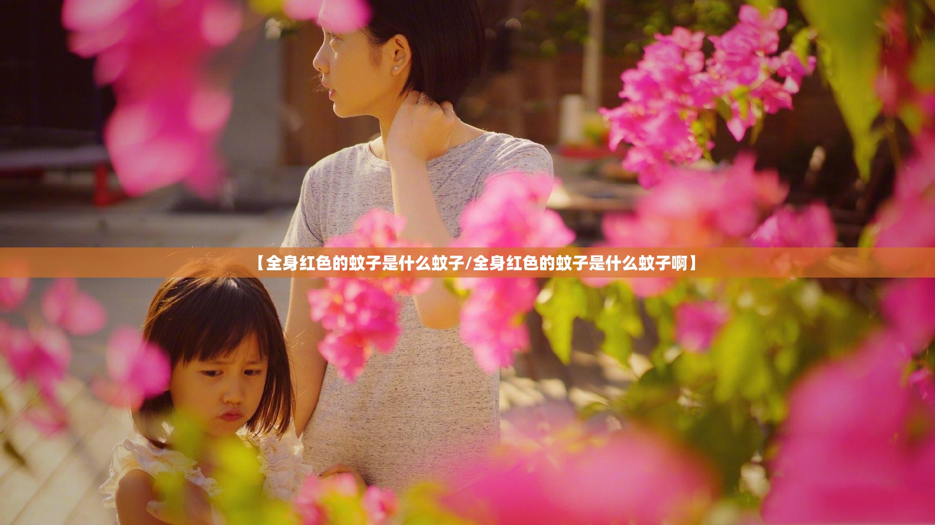 【全身红色的蚊子是什么蚊子/全身红色的蚊子是什么蚊子啊】