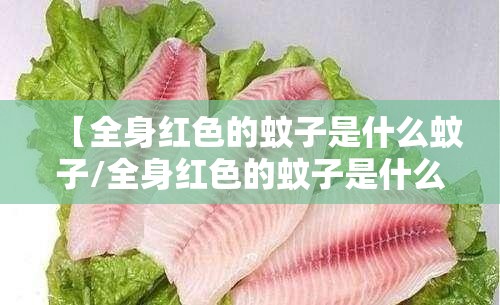 【全身红色的蚊子是什么蚊子/全身红色的蚊子是什么蚊子啊】