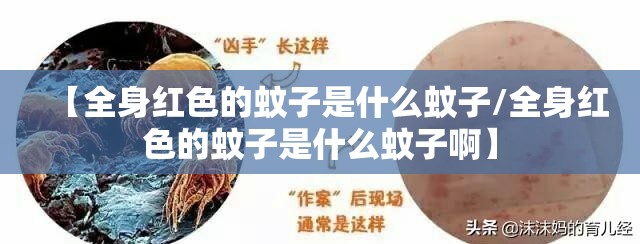 【全身红色的蚊子是什么蚊子/全身红色的蚊子是什么蚊子啊】