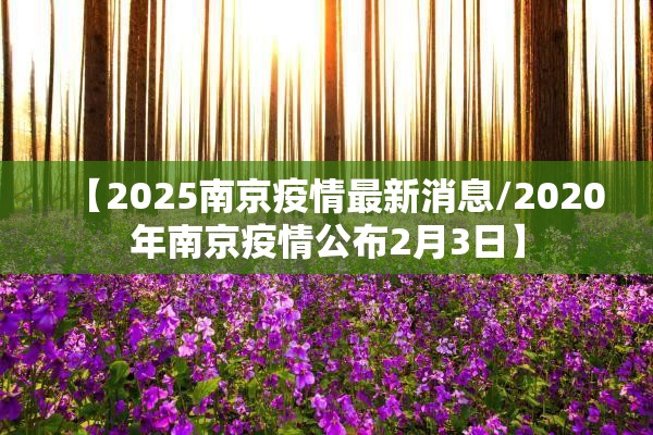 【2025南京疫情最新消息/2020年南京疫情公布2月3日】