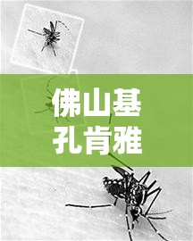 佛山基孔肯雅热病例蔓延:基孔肯尼亚病毒图片