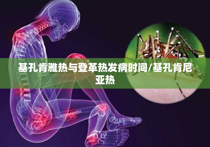 基孔肯雅热与登革热发病时间/基孔肯尼亚热