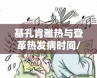 基孔肯雅热与登革热发病时间/基孔肯尼亚热