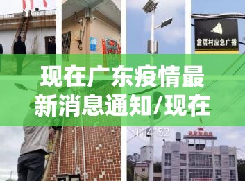 现在广东疫情最新消息通知/现在广东疫情最新消息通知图片